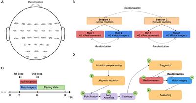 Hypnotic State Modulates Sensorimotor Beta Rhythms During Real Movement and Motor Imagery